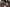 Connect data to the tools where work is done: Microsoft Dynamics 365 Business Central and Microsoft 365