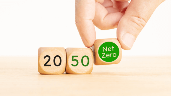 How Manufacturers Can Become More Environmentally Sustainable