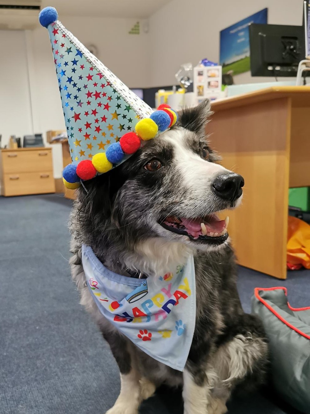 Paradise Celebrates 35 Years!