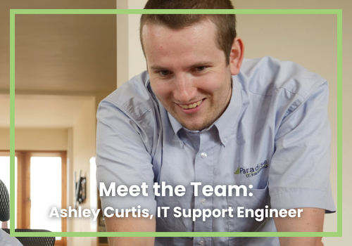Meet the Team: Ashley Curtis 