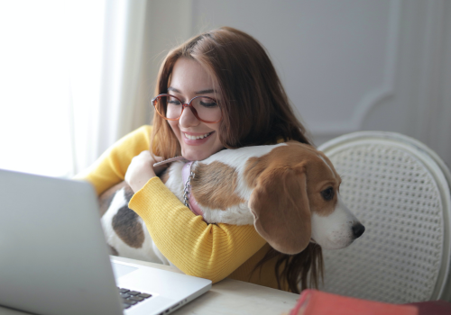 Pets in the Workplace 