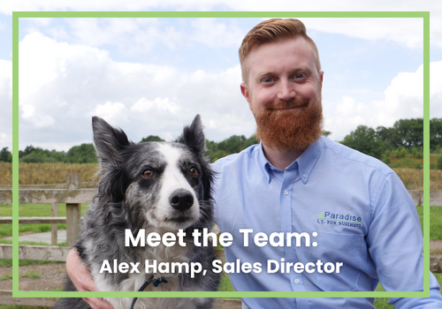 Meet the Team: Alex Hamp 
