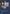 ERP Software Solutions